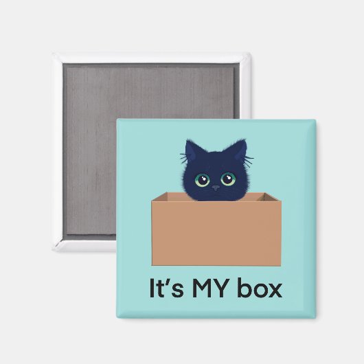 Aimant Chat mignon dans une boîte sur bleu-vert (Recto/Verso)