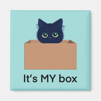 Aimant Chat mignon dans une boîte sur bleu-vert