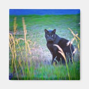 Aimant Chat noir