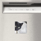 Aimant Chat noir (In Situ (Lave-vaisselle))