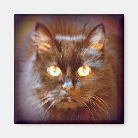 Aimant chat noir (Devant)