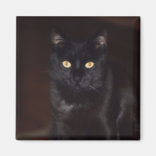 Aimant Chat noir