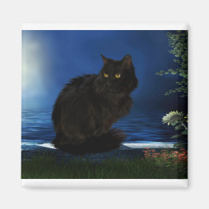 Aimant Chat noir chat animal domestique noir