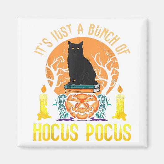 Aimant Chat noir de Pocus Hocus (Devant)