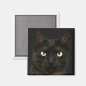 Aimant chat noir éffrayant (Recto/Verso)