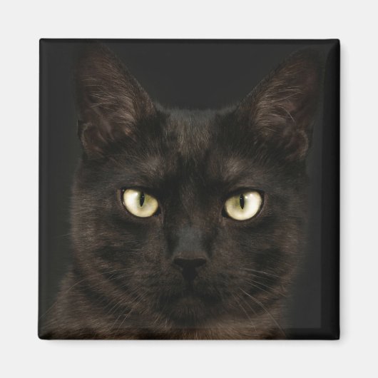 Aimant chat noir éffrayant (Devant)