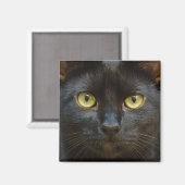Aimant chat noir éffrayant (Recto/Verso)