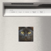 Aimant chat noir éffrayant (In Situ (Lave-vaisselle))