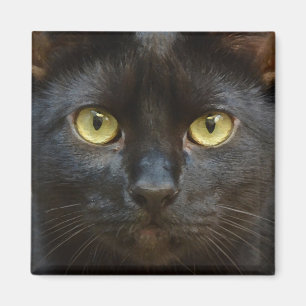 Aimant Chat noir éffrayant