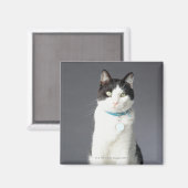 Aimant Chat noir et blanc (Recto/Verso)