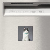 Aimant Chat noir et blanc (In Situ (Lave-vaisselle))