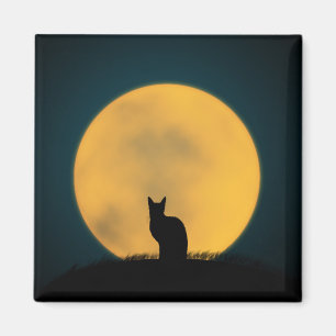 Aimant Chat noir Full Moon Halloween Animal Kitten