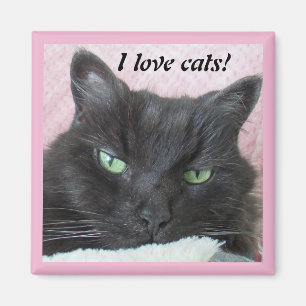 Aimant Chat noir vert teint sur une couverture rose