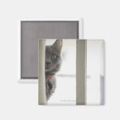 Aimant Chat par fenêtre (Recto/Verso)