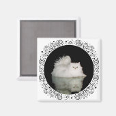 Aimant Chat Persan aux Yeux Vert Jade (Recto/Verso)