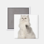 Aimant Chat perse assis (Recto/Verso)