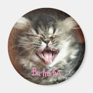 Aimant Chat Perse drôle rire Humoristique Gris Kitten