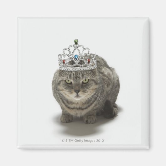 Aimant Chat portant une tiara (Devant)