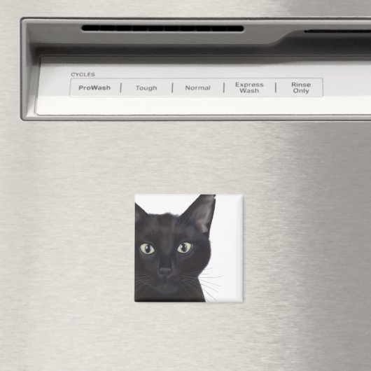 Aimant Chat, Portrait de Gus (In Situ (Lave-vaisselle))