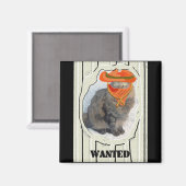 Aimant Chat Recherché (Recto/Verso)