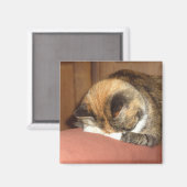 Aimant Chat 'Rouge' dormant sur la toux (Recto/Verso)