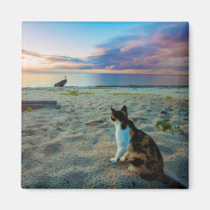 Aimant Chat se reposant sur une plage