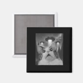 Aimant Chat selfie avec ovnis (Recto/Verso)