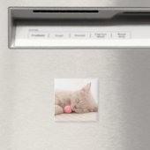 Aimant Chat Shorthair (In Situ (Lave-vaisselle))