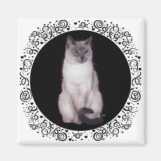 Aimant Chat siamois (Devant)