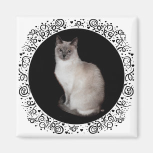 Aimant Chat siamois