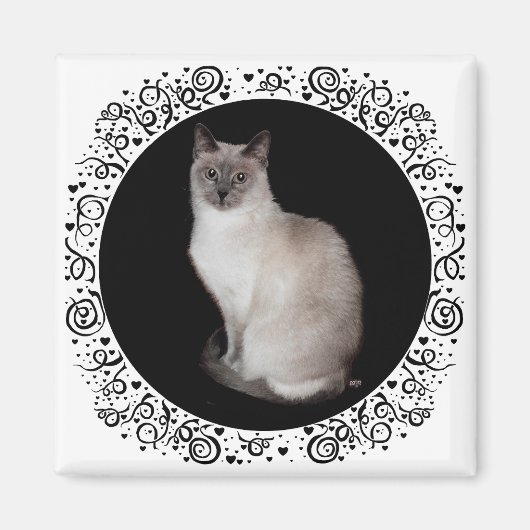 Aimant Chat siamois (Devant)