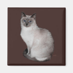 Aimant Chat siamois aux yeux bleus