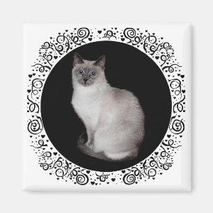 Aimant Chat siamois aux yeux bleus