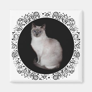 Aimant Chat siamois aux yeux bleus
