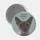 Aimant Chat Silencieux Siamais (Recto/Verso)