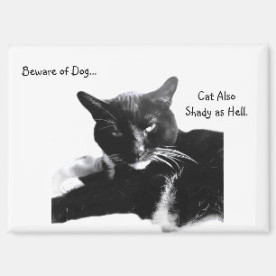 Aimant Chat Smoking avec un Sourire Sournois