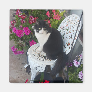 Aimant Chat Smoking élégant Mignon avec de Jolies Fleurs 