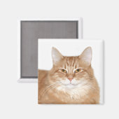 Aimant Chat souriant (Recto/Verso)