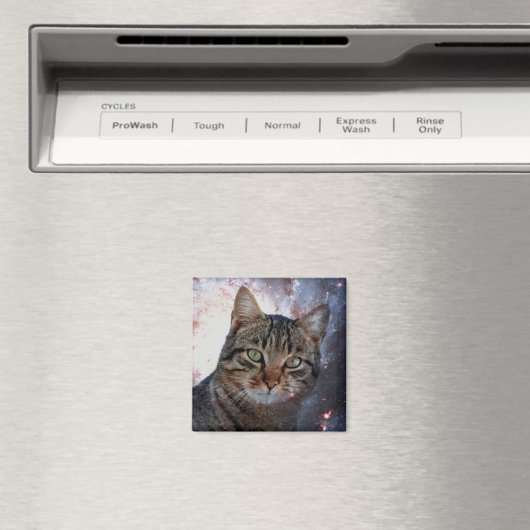 Aimant Chat spatial (In Situ (Lave-vaisselle))