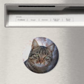 Aimant Chat spatial (In Situ (Lave-vaisselle))