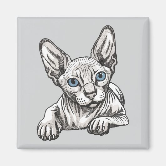 Aimant Chat Sphynx sans poils (Devant)