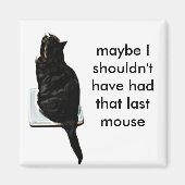 Aimant Chat sur échelles (Devant)