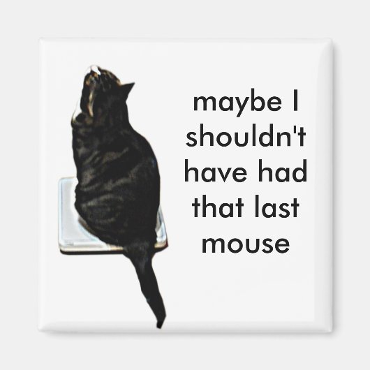 Aimant Chat sur échelles (Devant)