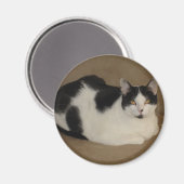 Aimant Chat Sur Un Canapé (Recto/Verso)
