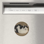 Aimant Chat Sur Un Canapé (In Situ (Lave-vaisselle))