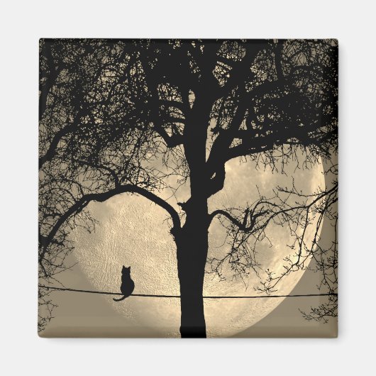 Aimant Chat sur un fil pleine lune (Devant)