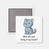 Aimant Chat tabby gris grincheux Texte drôle (Recto/Verso)