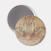 Aimant Chat Tabby Orange (Recto/Verso)