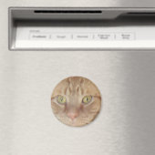 Aimant Chat Tabby Orange (In Situ (Lave-vaisselle))