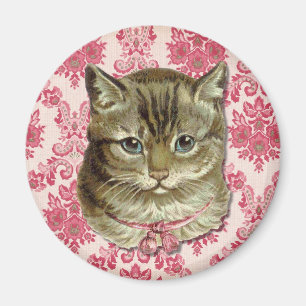 Aimant Chat tigré